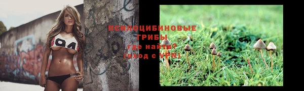 не бодяженный Алексин