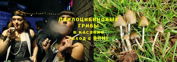 не бодяженный Алексин