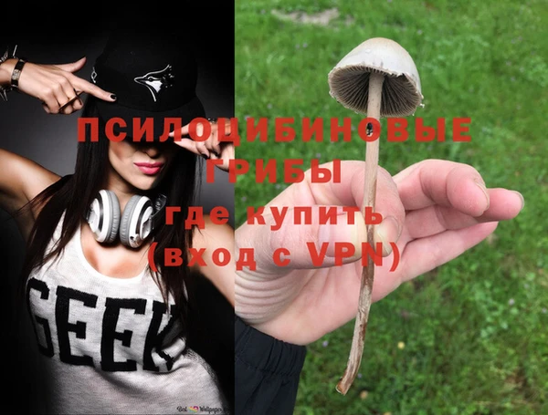 не бодяженный Алексин