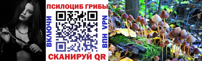 Галлюциногенные грибы GOLDEN TEACHER  Заозёрный 
